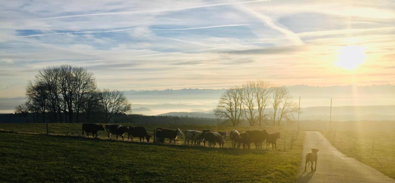 La Ferme De La Praz B&B Dış mekan fotoğraf