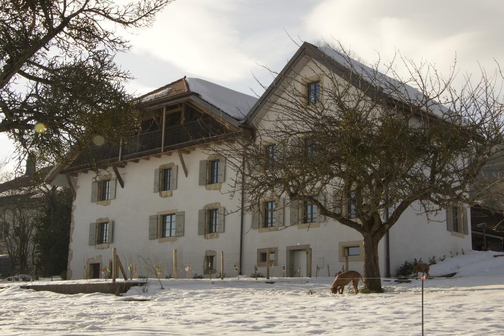 La Ferme De La Praz B&B Dış mekan fotoğraf