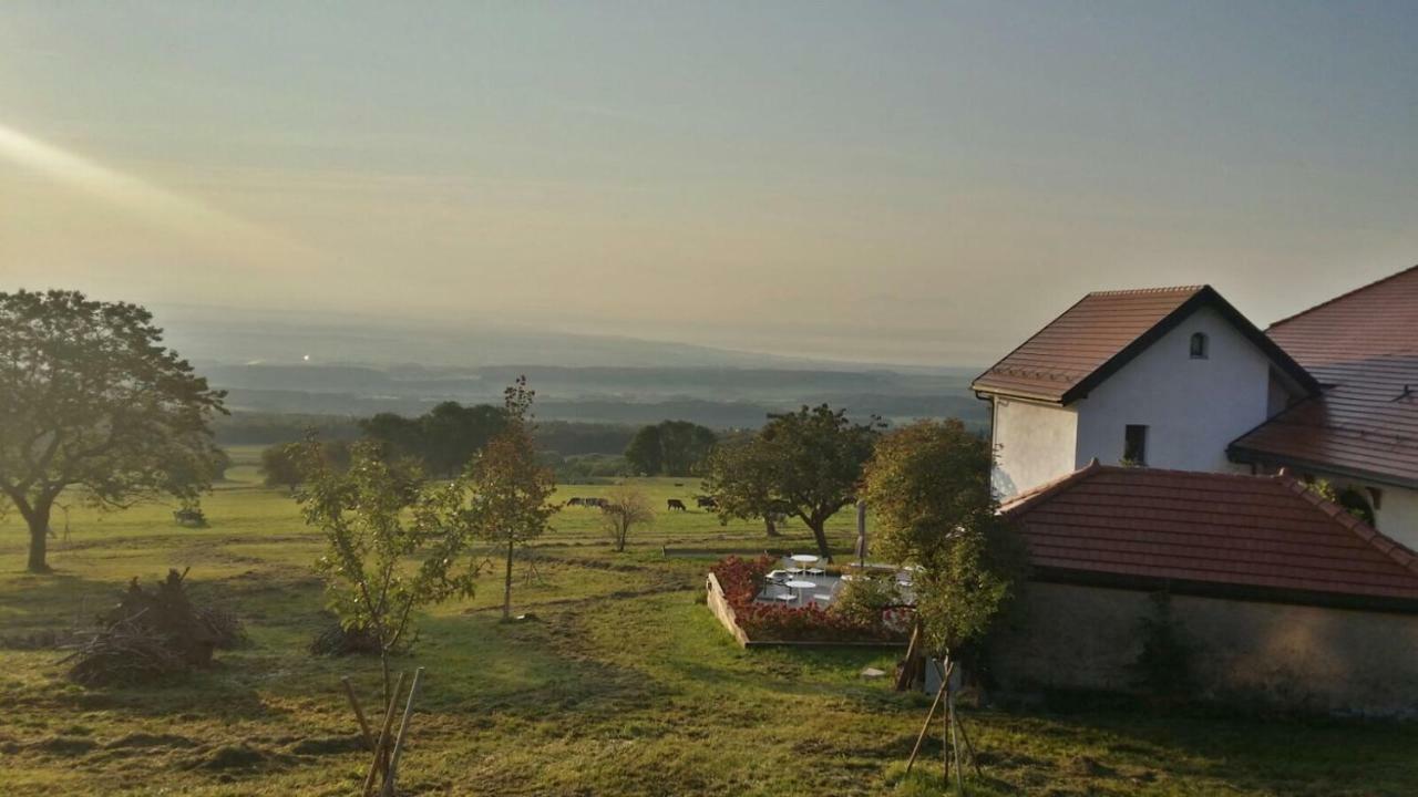 La Ferme De La Praz B&B Dış mekan fotoğraf