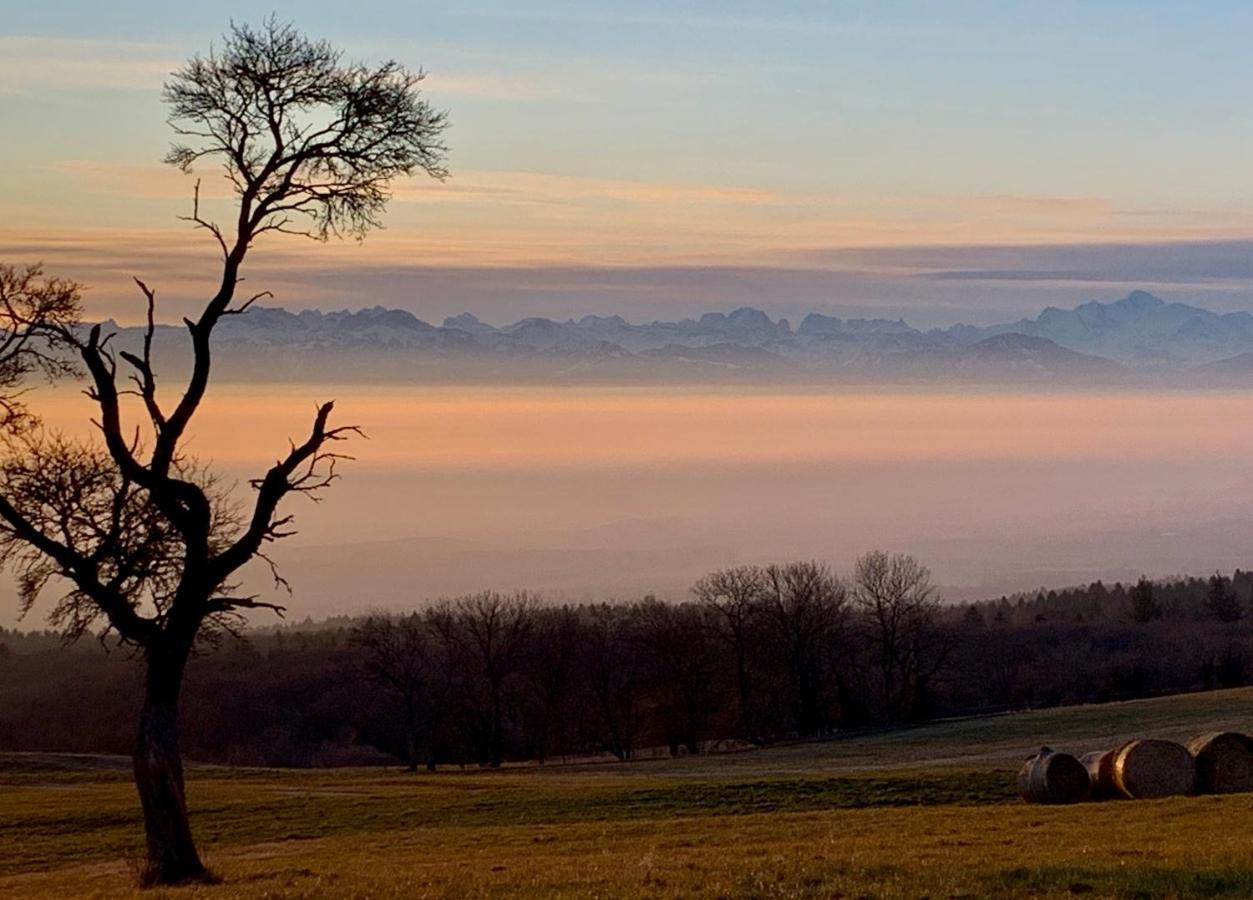 La Ferme De La Praz B&B Dış mekan fotoğraf